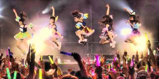daisytotoro's profile banner image