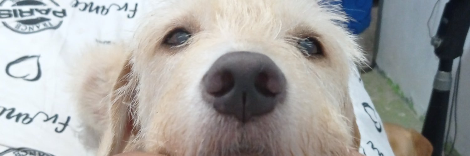 valu_b0's profile banner image