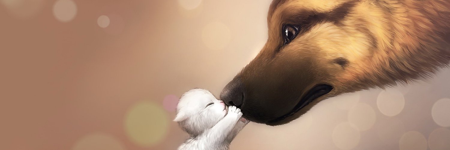 Calleystreams's profile banner image