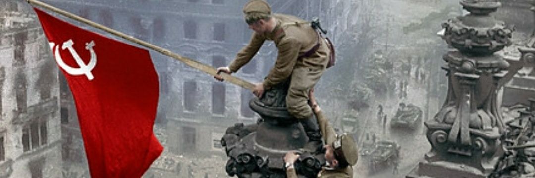 БоеваяZ 🐝 banner