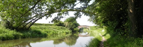 heronmountain Profile Banner