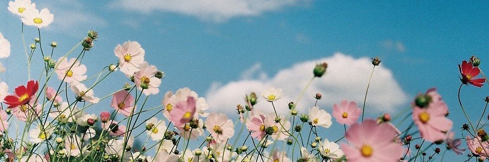 LUClNA's profile banner image