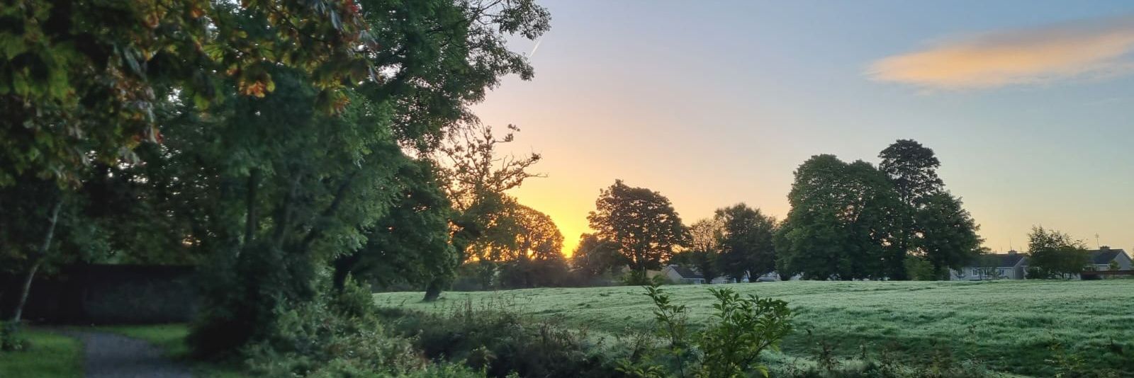 John P Russell. A voice from rural Ireland. banner