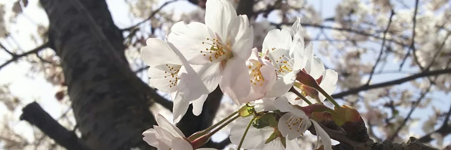 哉栄 banner