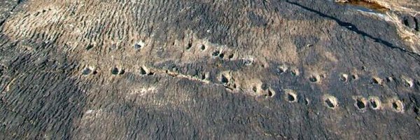 CorkGeological Profile Banner
