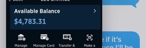 PAY BRAT banner