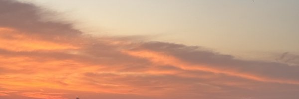 formulachlo Profile Banner