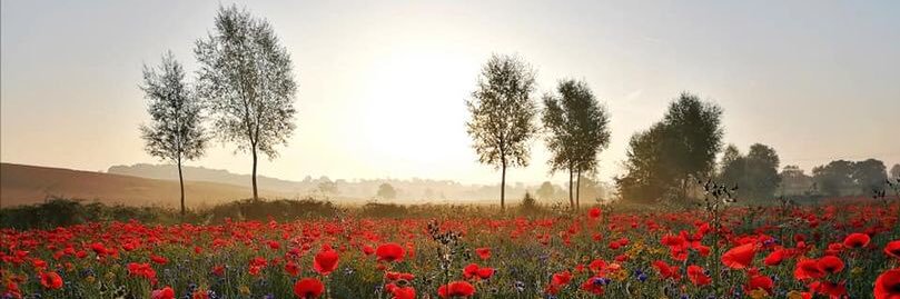 GruntledPatriot banner