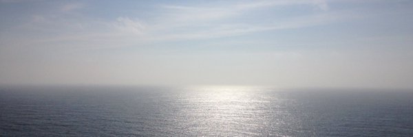 boriellis Profile Banner