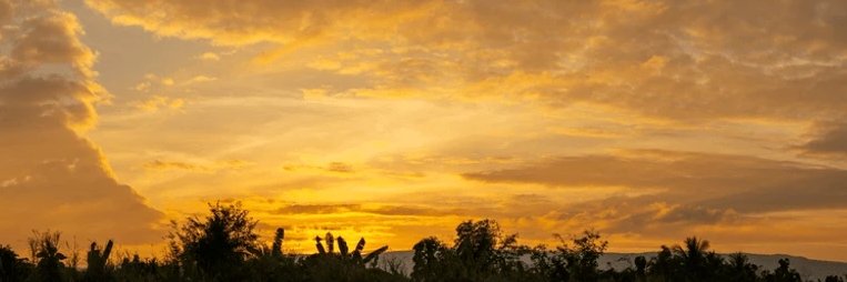 AvelineAva's profile banner image