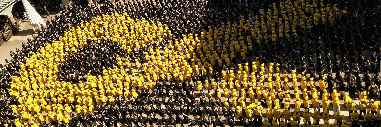 🌊 revoltats 🌊 banner