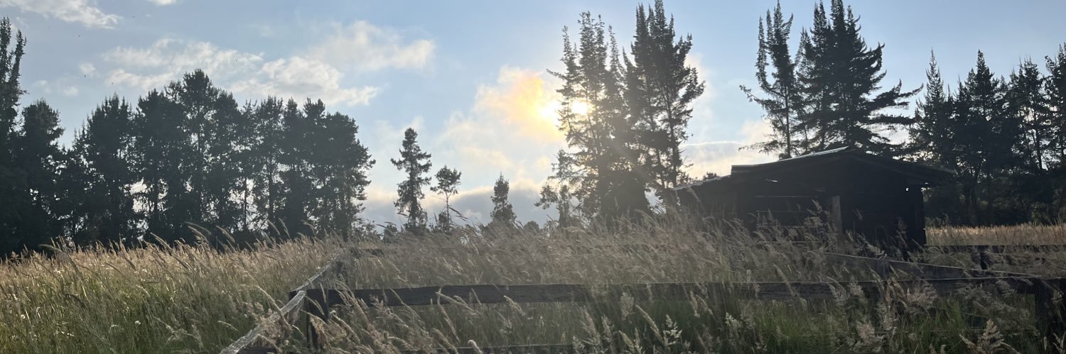 jessijimez's profile banner image