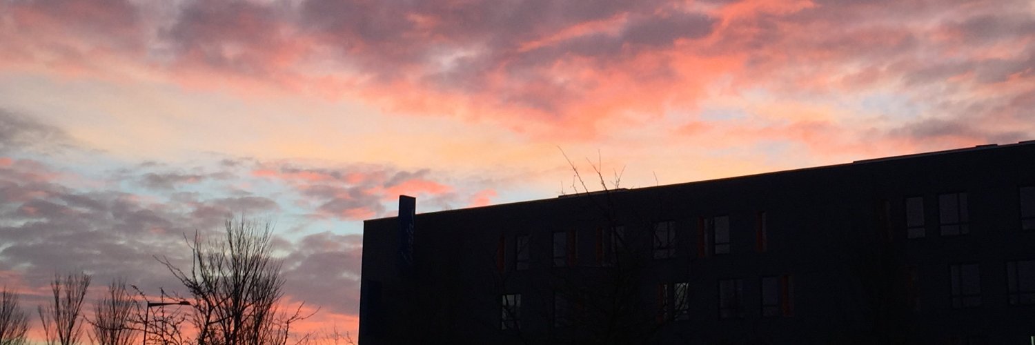 Axelle Magnier banner