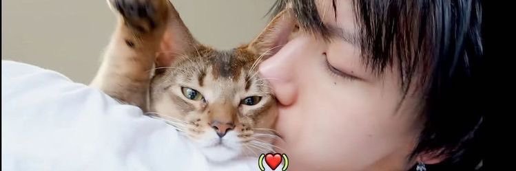 ten lee da silva banner