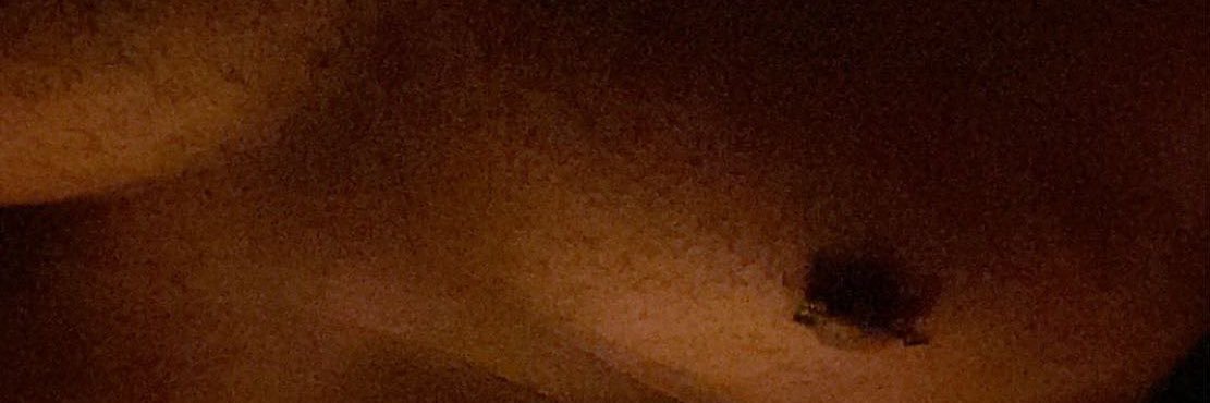 too_RAD21's profile banner image