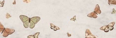 Halie 🦋 banner