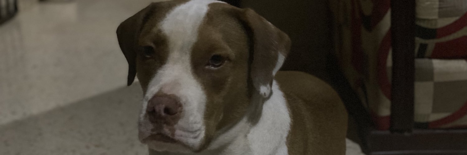 ArielGpe's profile banner image
