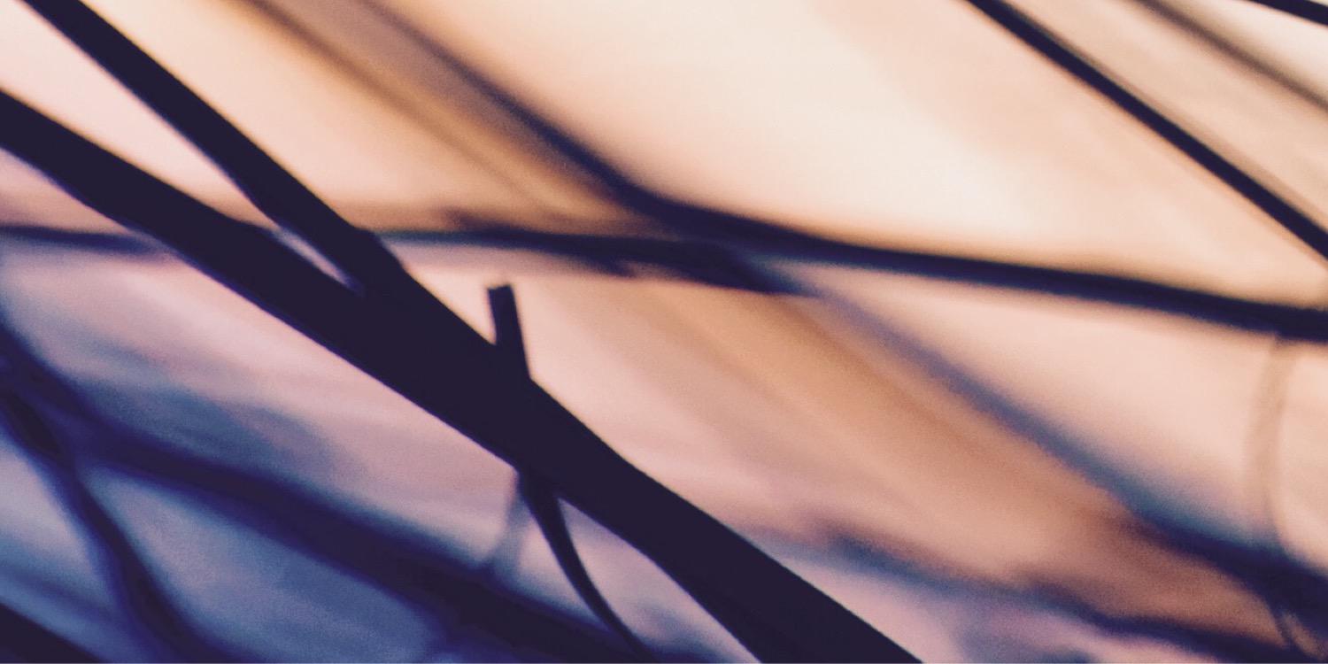 vierhauser's profile banner image