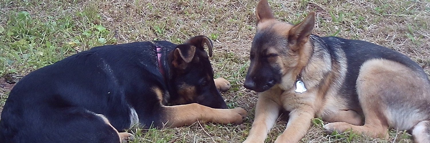 Allen S. Boyd banner