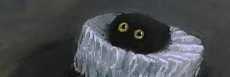 Sarcasmagasm's profile banner image