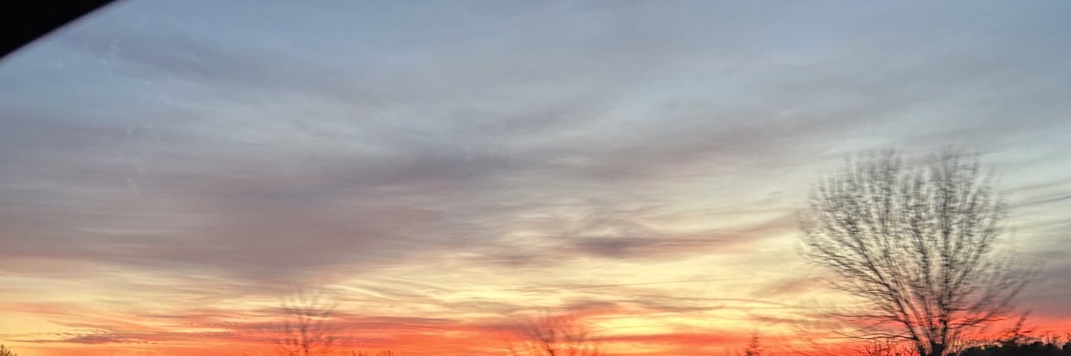 JulietSpangler's profile banner image