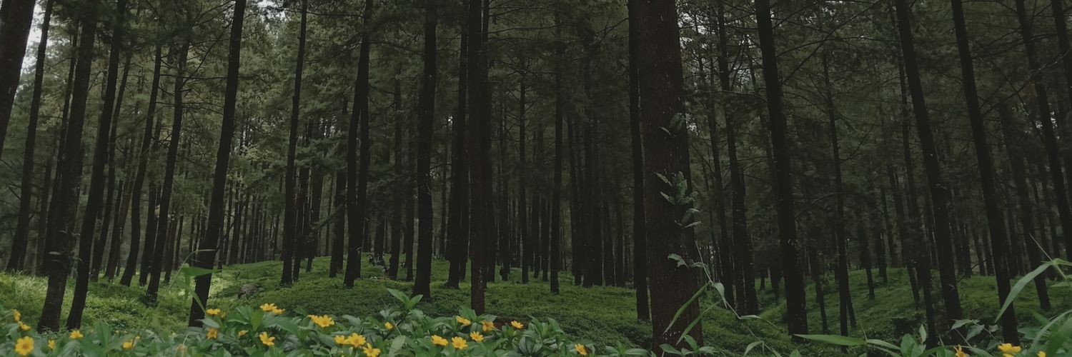 rizalanangW's profile banner image