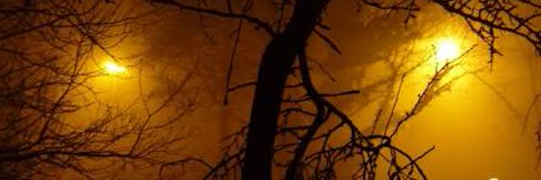 alls Profile Banner