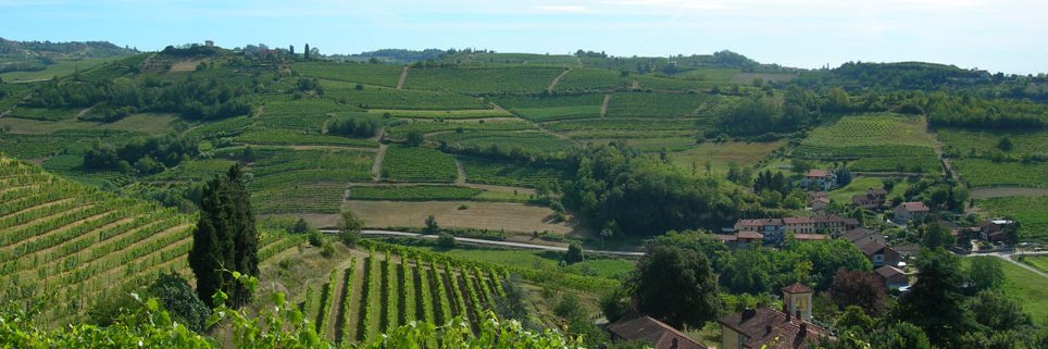 ViniStradaReale's profile banner image