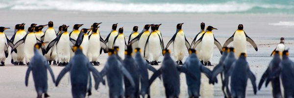 Cajundweeb Profile Banner