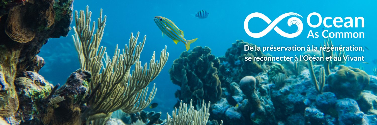 Ocean as common banner