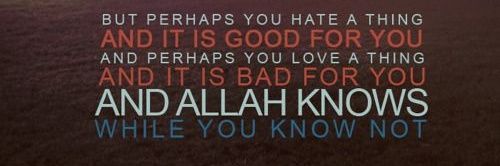 nafiahrn's profile banner image