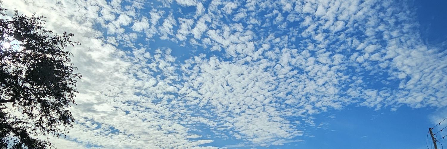 Mariavsc_'s profile banner image