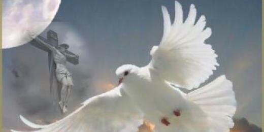 Javierfira's profile banner image