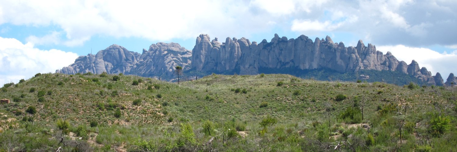 Vicenç Carabassa banner