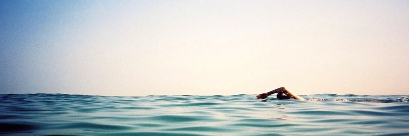 Sacha Alanoca banner