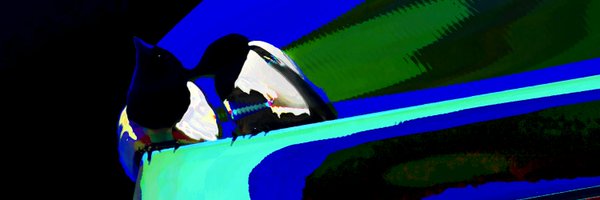 TwashTheMan Profile Banner