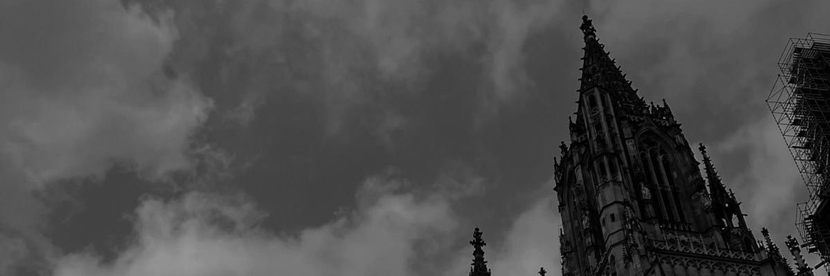 Sr.Braga III 🐊 banner