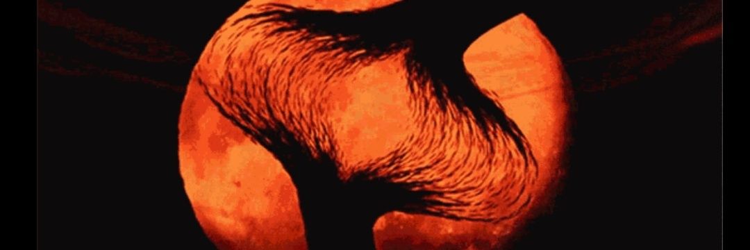 FicherIF's profile banner image