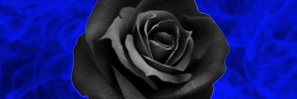 3hreeboy's profile banner image