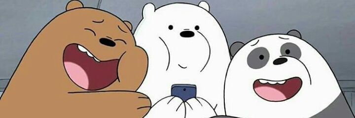 tpnn. banner