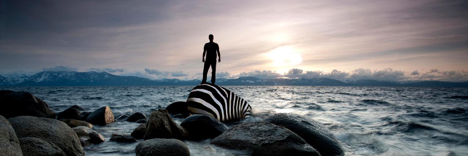 Visual_Safari's profile banner image