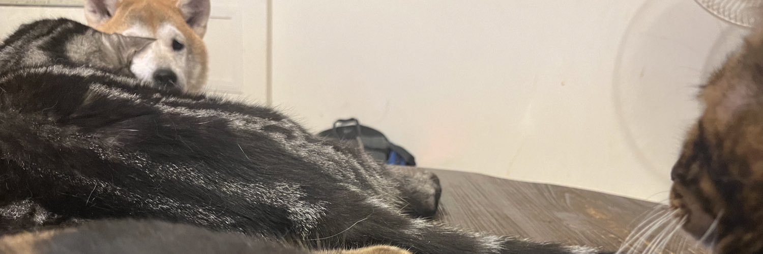 yuo banner