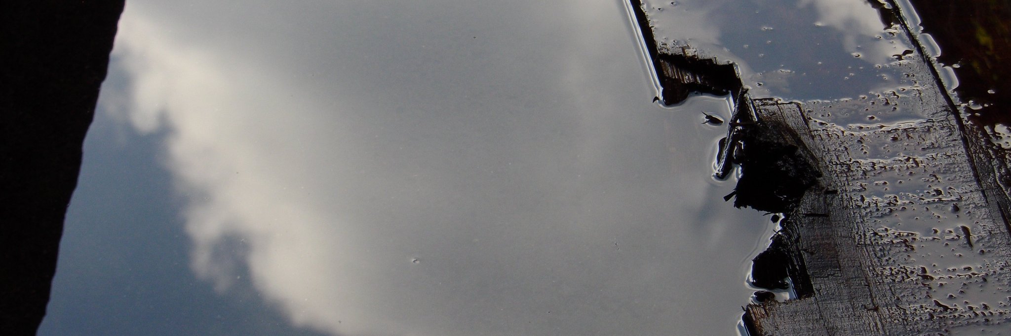 EtPeint's profile banner image