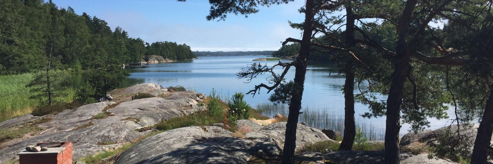 JormaMkinen's profile banner image