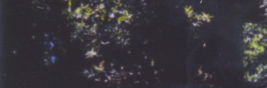 bandbluish's profile banner image