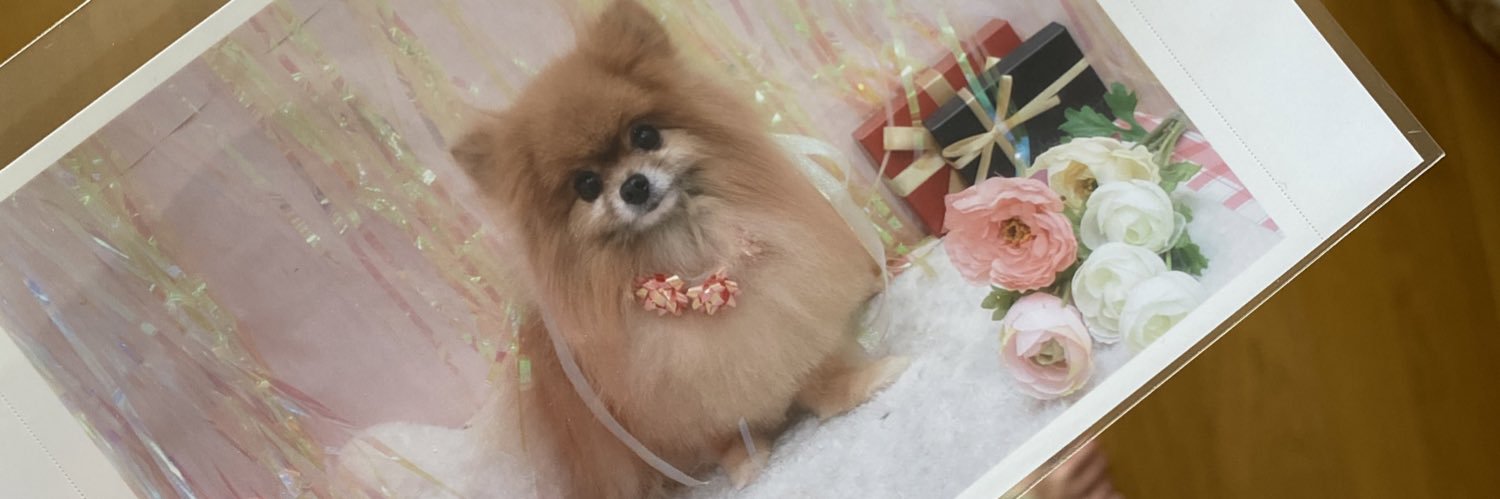 tanayumi's profile banner image