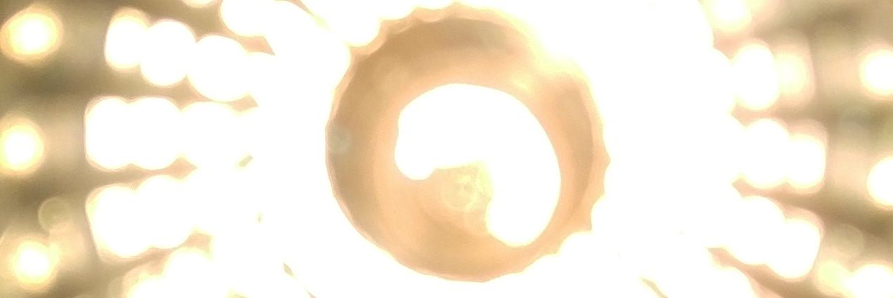 elimsnac's profile banner image