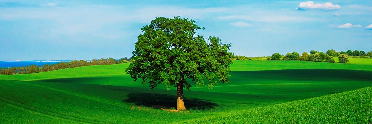 BioenergySRL's profile banner image