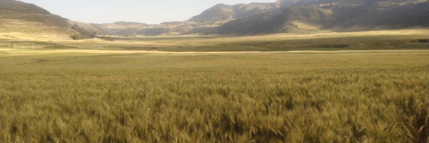 bisratshadow's profile banner image