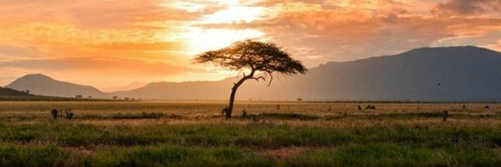 nationsizwe's profile banner image